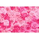 tecido-jacquard-estampado-rosa-e-pink-detalhe