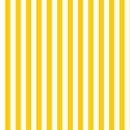 tecido-jacquard-estampado-listrado-amarelo