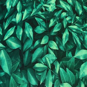 tecido-sublime-estampado-floresta