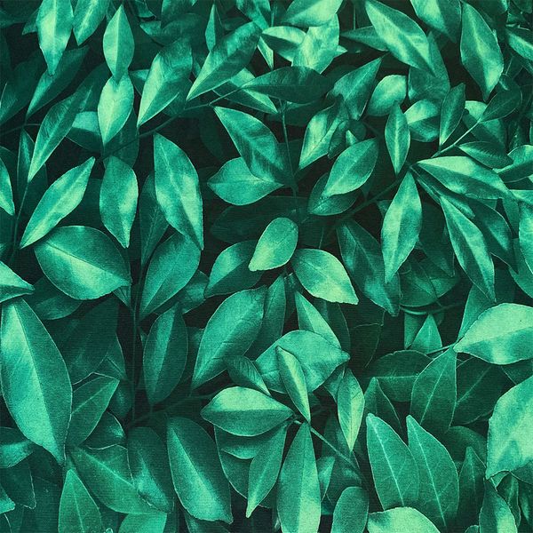 tecido-sublime-estampado-floresta